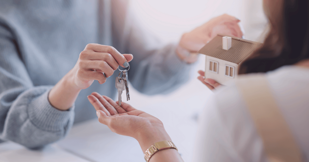 insight featured image