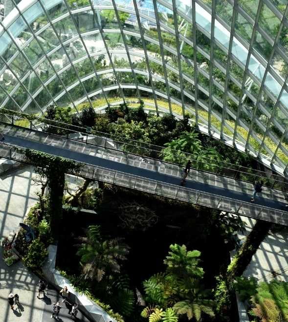 Comparative Outlook: Regional Patterns and Challenges